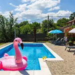 Pet Friendly In *